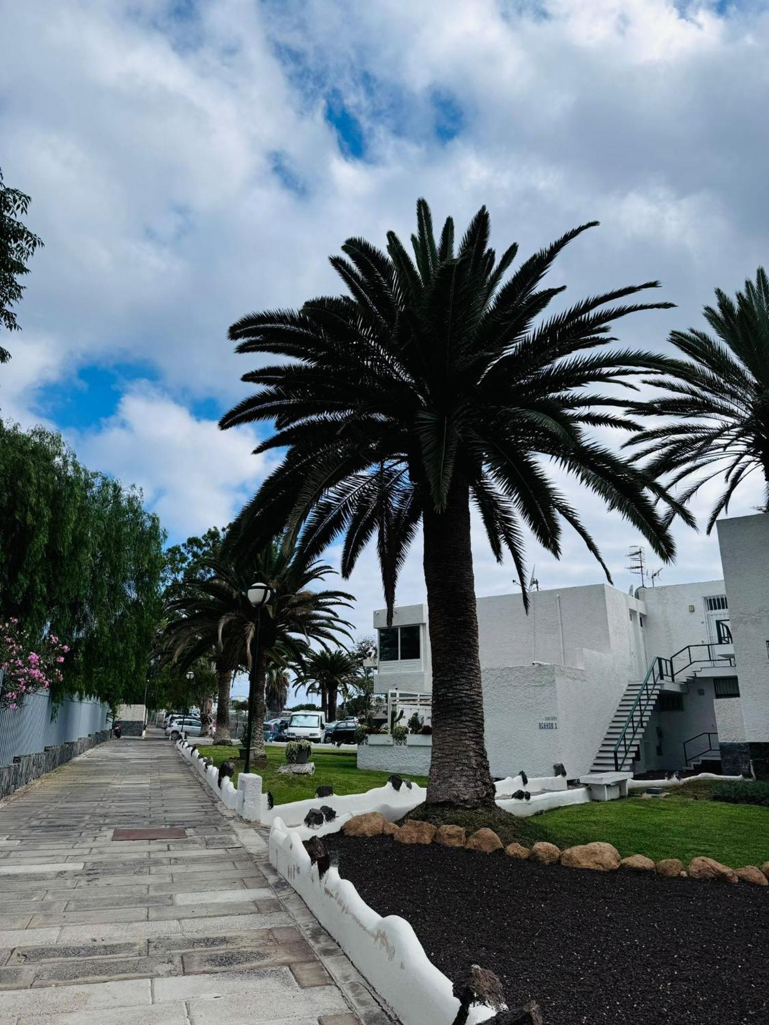 Marysol - Lovely Studio Tenerife Sur Arona  Luaran gambar