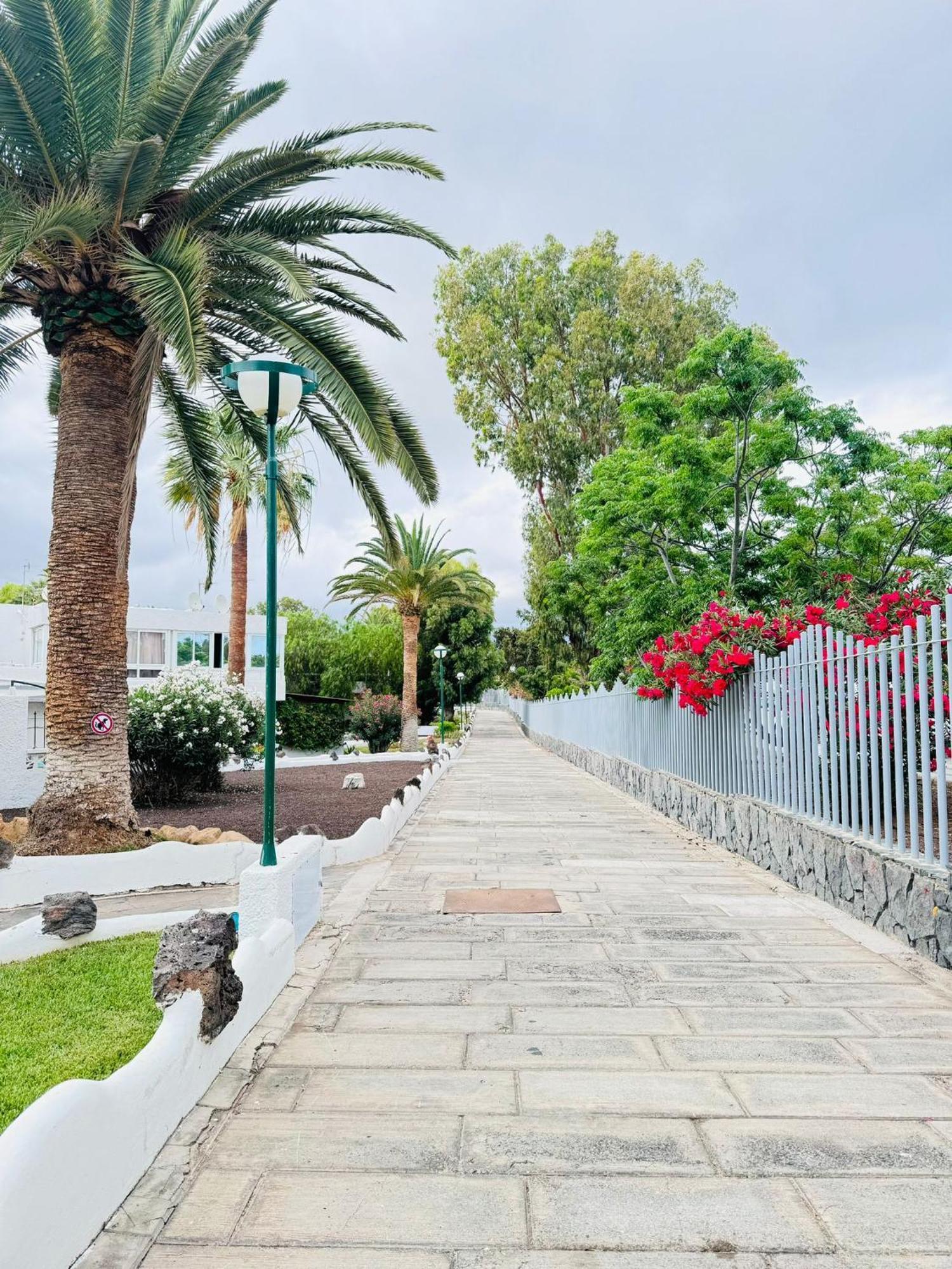 Marysol - Lovely Studio Tenerife Sur Arona  Luaran gambar